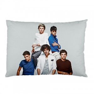 1 direction pillow pet